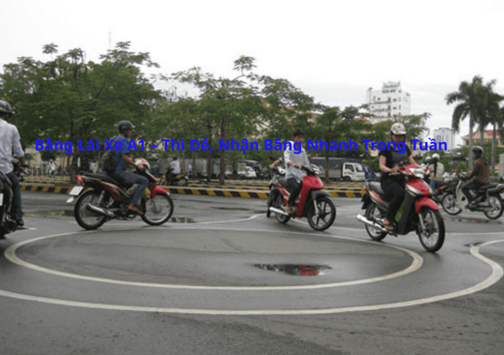 Bằng Lái Xe A1