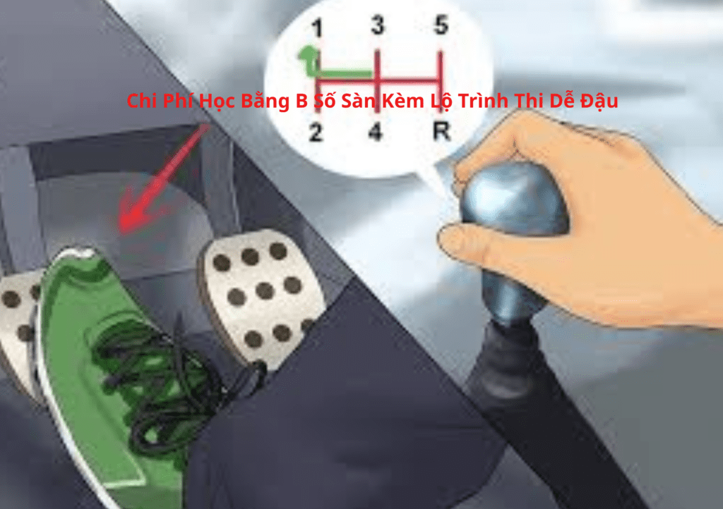 Chi Phí Học Bằng B Số Sàn