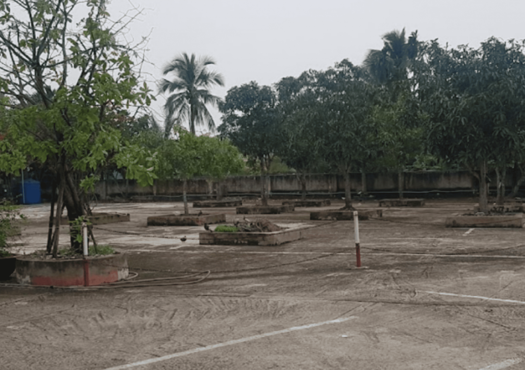 TOP 10+ Thi Bằng Lái Xe 2 Bánh TPHCM 2025 Cho Người Mới 12 Trung Tâm Dạy Nghề Lái Xe Hoàn Cầu - Thi Bằng Lái Xe 2 Bánh TPHCM