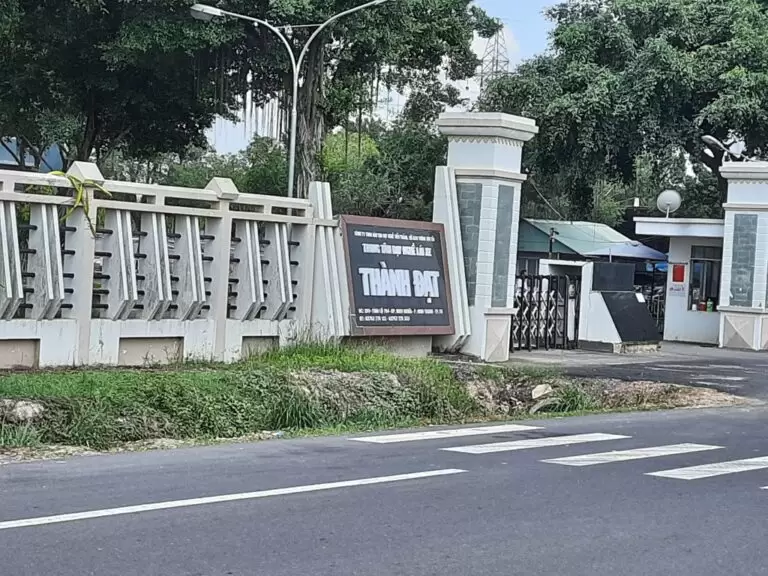 Trường Dạy Lái Xe Thành Đạt-Nên Thi B1 Hay B2