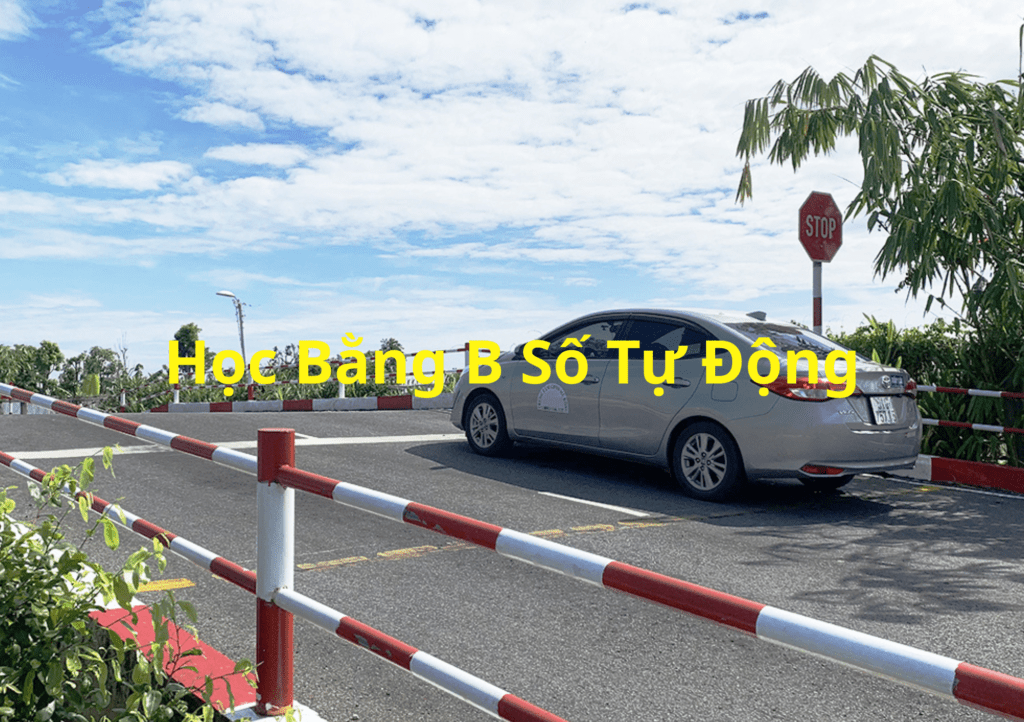 Học bằng B số tự động