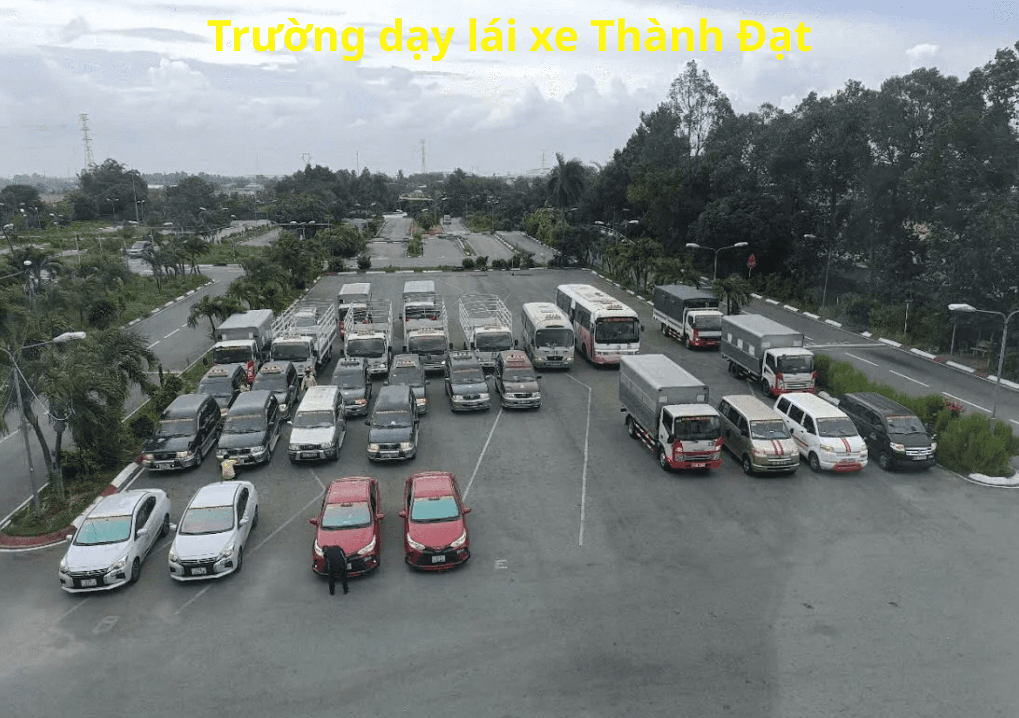 TOP 10+ Học Lái Xe Hơi TPHCM 2025 Chất Lượng Cao 6 Trường Dạy Lái Xe Thành Đạt - Học lái xe hơi TPHCM