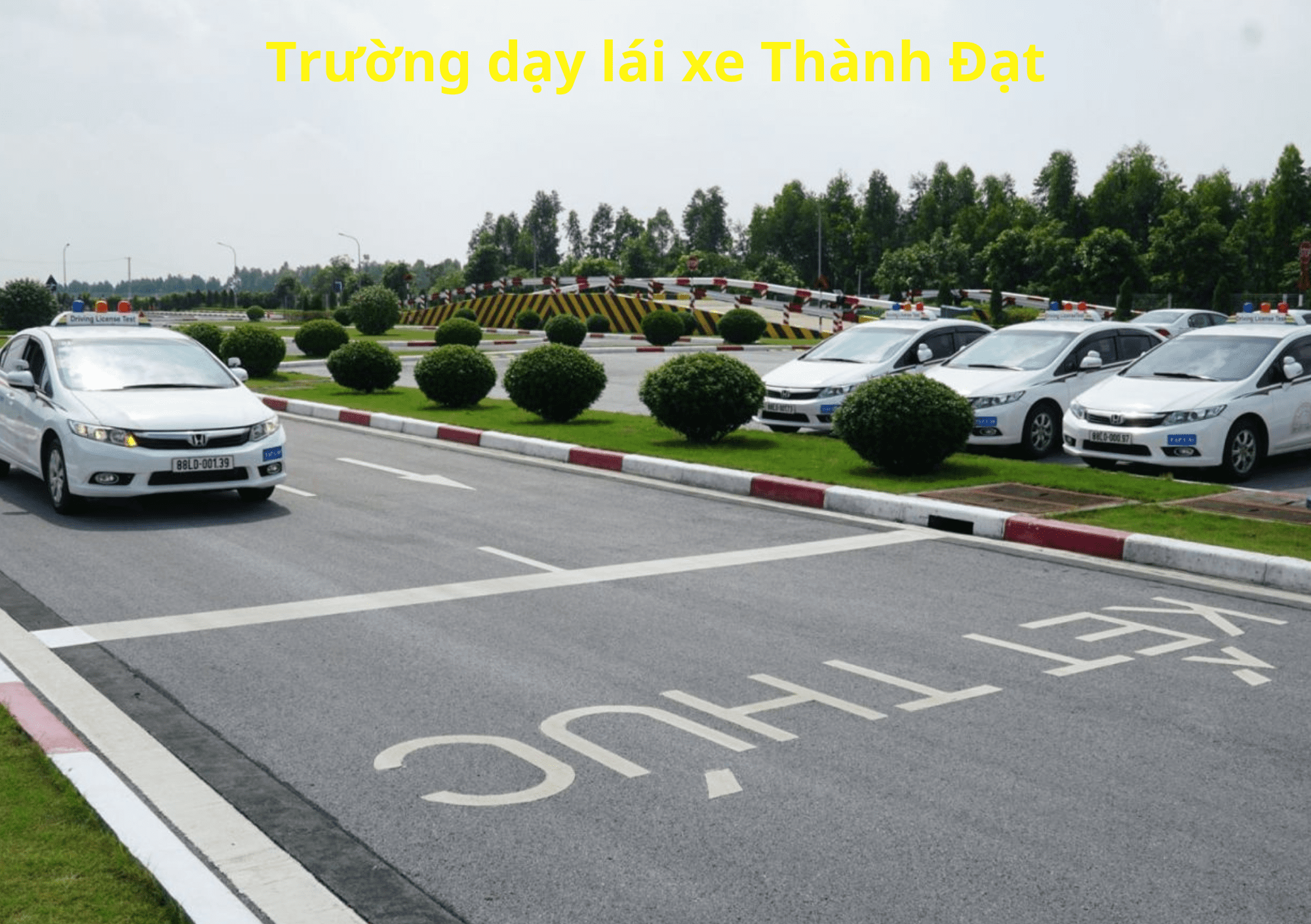 Trường Dạy Lái Xe Thành Đạt - Thi bằng lái A1 TPHCM
